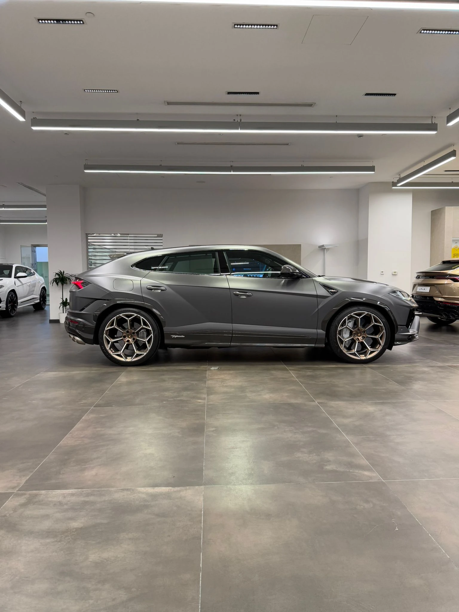 4977c968-0acd-497c-9b67-7eb444a02da4