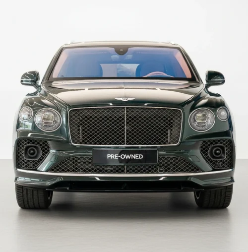 freepik_assistant_1760434185443