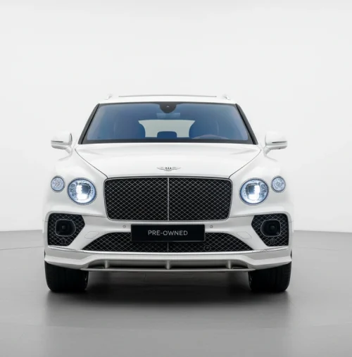 freepik_assistant_1760434190399