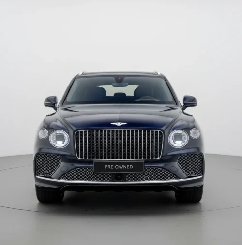 freepik_assistant_1760437083167